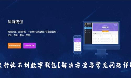 建行收不到数字钱包？解决方案与常见问题详解