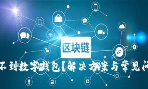 建行收不到数字钱包？解决方案与常见问题详解
