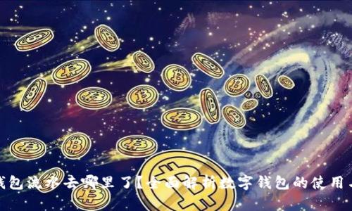 数字钱包流水去哪里了？全面解析数字钱包的使用与管理
