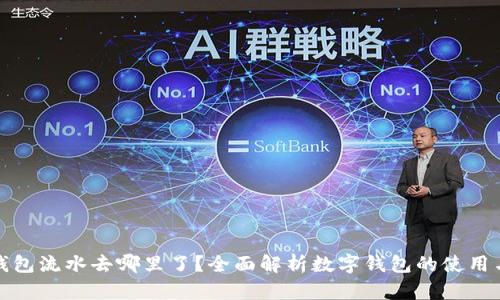 数字钱包流水去哪里了？全面解析数字钱包的使用与管理