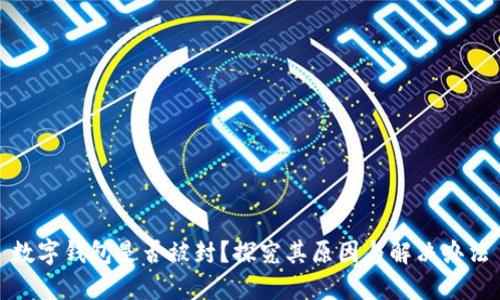 数字钱包是否被封？探究其原因与解决办法