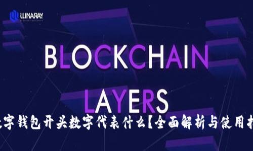  数字钱包开头数字代表什么？全面解析与使用指南