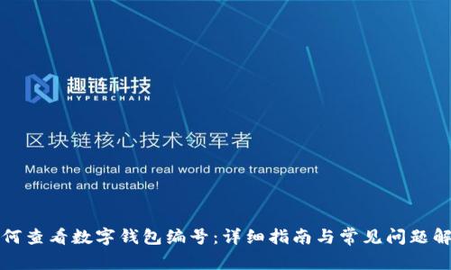 如何查看数字钱包编号：详细指南与常见问题解答
