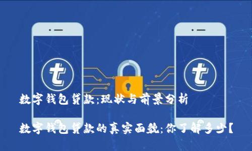数字钱包贷款：现状与前景分析

数字钱包贷款的真实面貌：你了解多少？