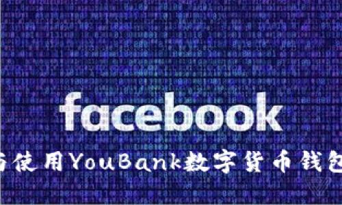 如何选择与使用YouBank数字货币钱包：全面指南