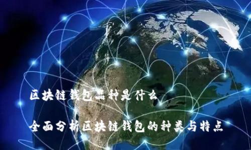 区块链钱包品种是什么

全面分析区块链钱包的种类与特点