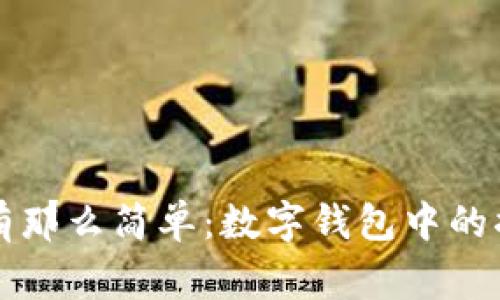 转账没有那么简单：数字钱包中的搞笑故事