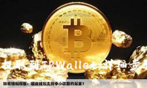 如何将FIL币提取到TPWallet：详细步骤和注意事项