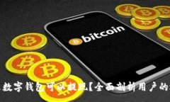 :什么数字钱包可以提现？全面剖析用户的选择