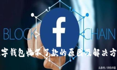数字钱包收不了款的原因及解决方案