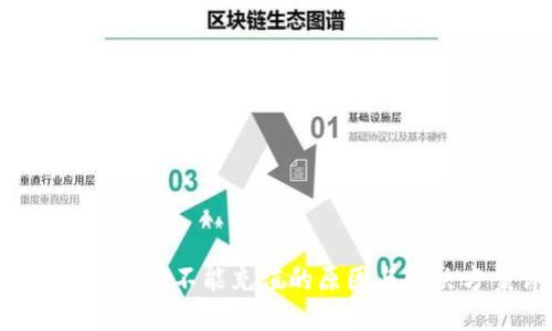 : 数字钱包APP不能充值的原因与解决方案详解