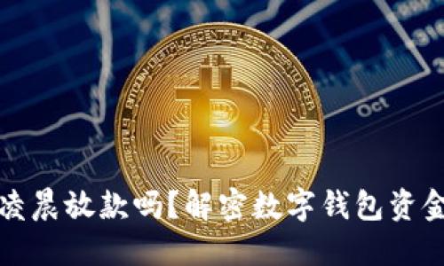 数字钱包凌晨放款吗？解密数字钱包资金流转规则