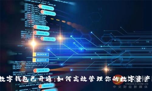 数字钱包已开通：如何高效管理你的数字资产？