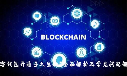 数字钱包开通多久生效？全面解析及常见问题解答