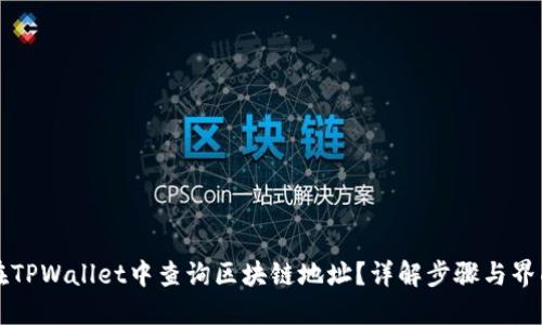 如何在TPWallet中查询区块链地址？详解步骤与界面功能