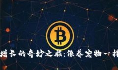 数字钱包用户增长的奇妙之旅：像养宠物一样呵