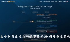 在TP钱包中如何查看你的数字资产，如同寻找宝藏