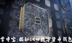 数字财富的掌中宝：揭秘LCW数字货币钱包的无限