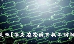 TPWallet闪兑失败？像是在花园里找不到钥匙的兔子