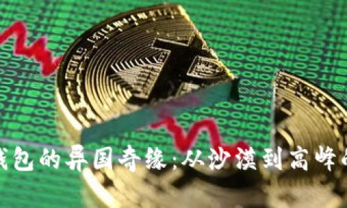 探索数字钱包的异国奇缘：从沙漠到高峰的金融旅行