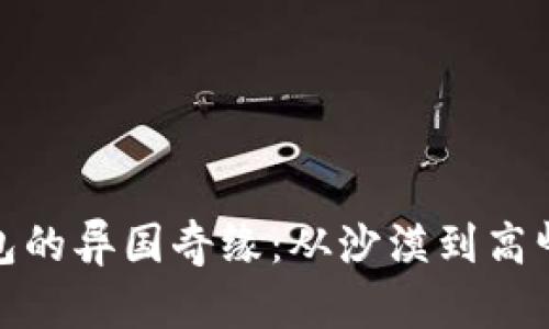探索数字钱包的异国奇缘：从沙漠到高峰的金融旅行