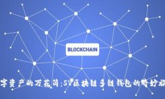 “数字资产的万花筒：SV区块链多链钱包的奇妙旅