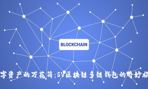 “数字资产的万花筒：SV区块链多链钱包的奇妙旅程”