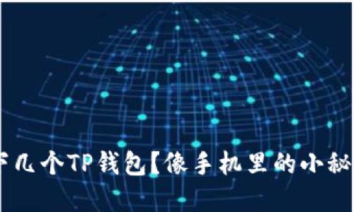 一个手机可以同时装下几个TP钱包？像手机里的小秘密一样，让我们来揭晓！