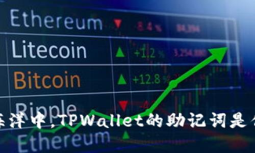 在区块链的海洋中，TPWallet的助记词是你的安全之船