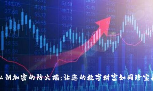 钱包私钥加密的防火墙：让您的数字财富如同珍宝般安全