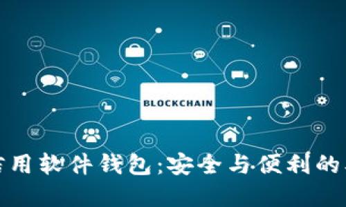 数字信用软件钱包：安全与便利的双刃剑