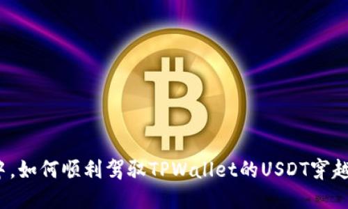 在数字货币的海洋中，如何顺利驾驭TPWallet的USDT穿越币安智能链的浪潮？