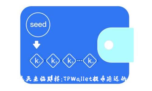 像等待春天来临那样：TPWallet提币延迟的背后秘密