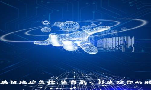 钱包区块链地址监控：像猎豹一样追踪你的财务动态