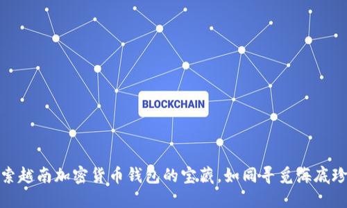 探索越南加密货币钱包的宝藏，如同寻觅海底珍珠