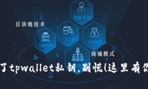 如果你丢失了tpwallet私钥，别慌！这里有你的“救生艇”