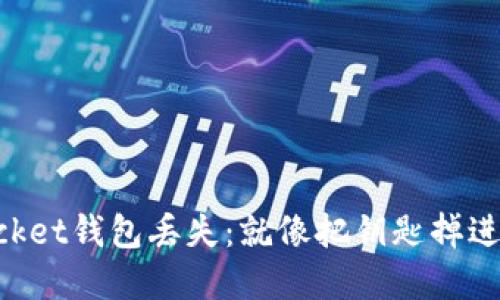 “TokenPocket钱包丢失：就像把钥匙掉进了无底洞”