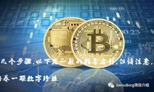 创建一个应用程序在TP钱包（TPWallet）中通常涉及几个步骤。以下是一般的指导方针，但请注意，具体步骤可能会因版本更新或其他因素而略有不同。

### 在TP钱包中创建应用程序的终极指南：如同培养一颗数字珍珠