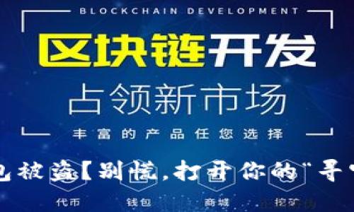 数字钱包被盗？别慌，打开你的“寻宝之旅”！