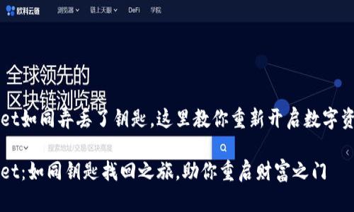 TPWallet如同弄丢了钥匙，这里教你重新开启数字资产大门

TPWallet：如同钥匙找回之旅，助你重启财富之门
