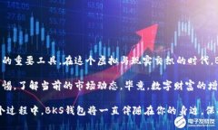   “BKS数字货币钱包：你的数字财富保险箱！”
