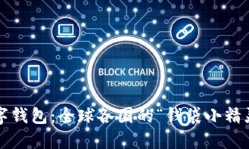 数字钱包：全球各国的“钱袋小精灵”！