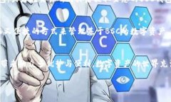 要将TP电脑版钱包设置为支持BSC（币安智能链），