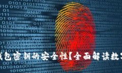 如何确保数字钱包密钥的安全性？全面解读数字