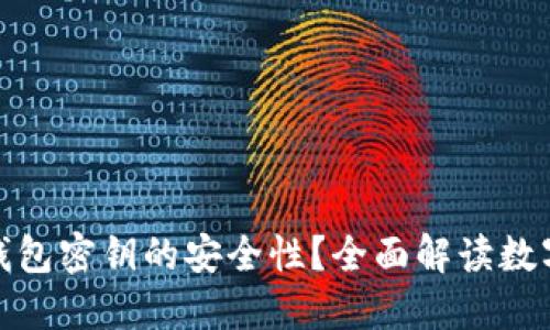 如何确保数字钱包密钥的安全性？全面解读数字钱包安全机制