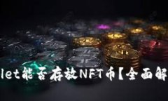 ### TPWallet能否存放NFT币？全面解析与用户指南
