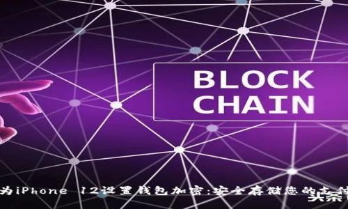 如何为iPhone 12设置钱包加密：安全存储您的支付信息