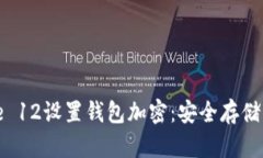 如何为iPhone 12设置钱包加密：安全存储您的支付