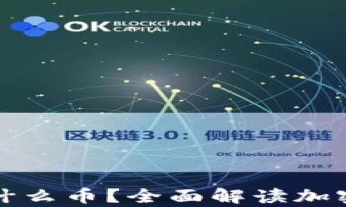 
数字钱包能放什么币？全面解读加密货币存储方式