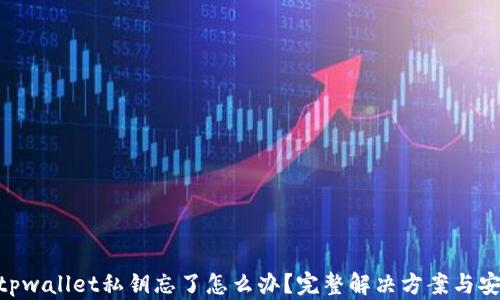 
fiaotitpwallet私钥忘了怎么办？完整解决方案与安全提示